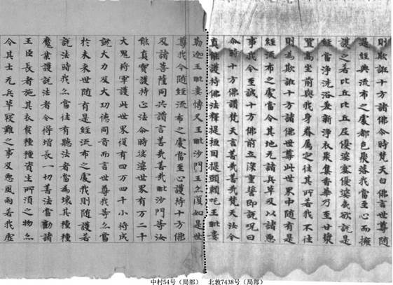 北敦7438尾中村54號(hào)