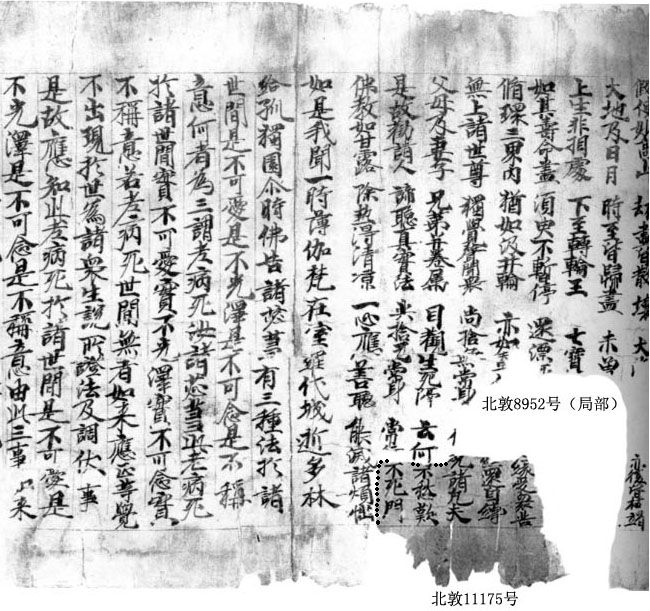 北敦8952北敦11175號