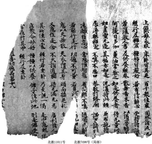 北敦11011和北敦7498號