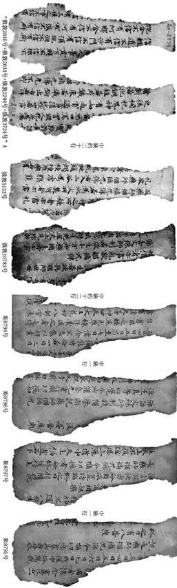 斯8795號(hào)+斯8797號(hào)+斯8796號(hào)…斯8794號(hào)…俄敦10783號(hào)+俄敦5132號(hào)